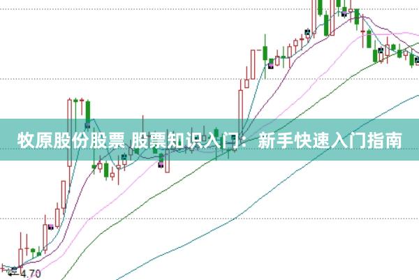 牧原股份股票 股票知识入门：新手快速入门指南