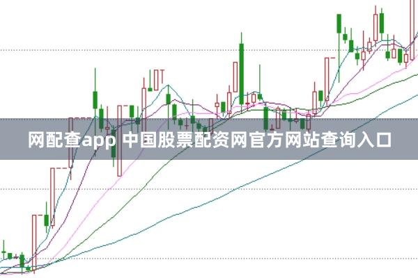 网配查app 中国股票配资网官方网站查询入口