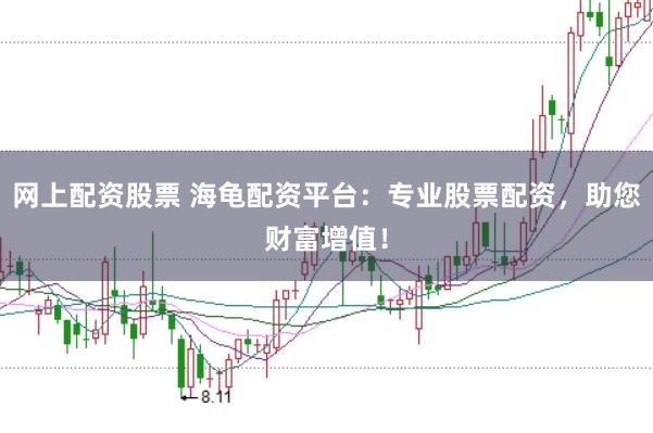 网上配资股票 海龟配资平台：专业股票配资，助您财富增值！