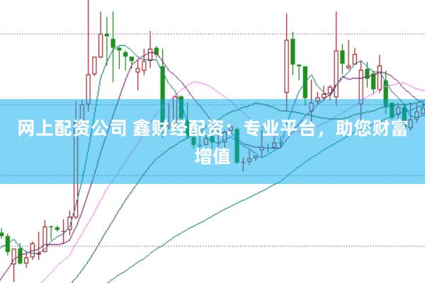网上配资公司 鑫财经配资：专业平台，助您财富增值
