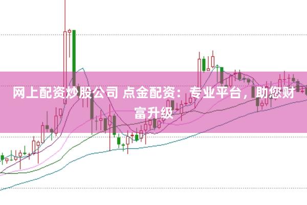 网上配资炒股公司 点金配资：专业平台，助您财富升级