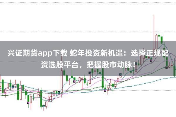 兴证期货app下载 蛇年投资新机遇：选择正规配资选股平台，把握股市动脉！
