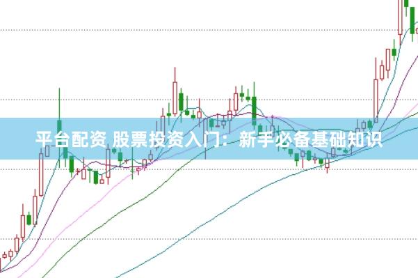 平台配资 股票投资入门:新手必备基础知识