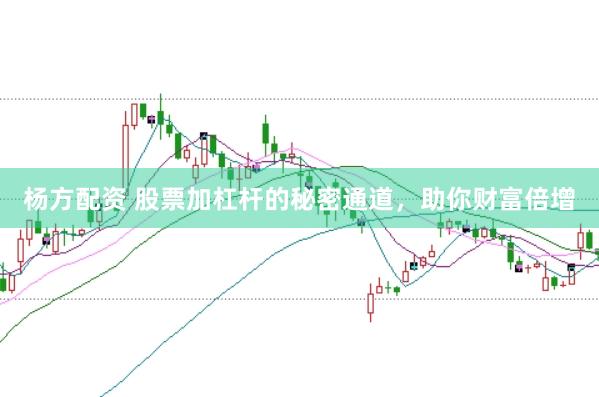 杨方配资 股票加杠杆的秘密通道，助你财富倍增