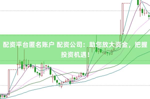配资平台匿名账户 配资公司:助您放大资金,把握投资机遇!