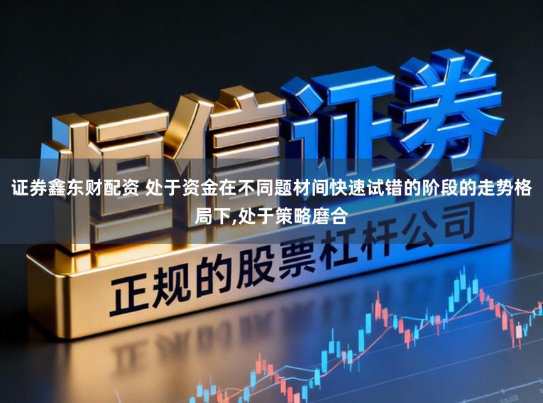 证券鑫东财配资 处于资金在不同题材间快速试错的阶段的走势格局下，处于策略磨合