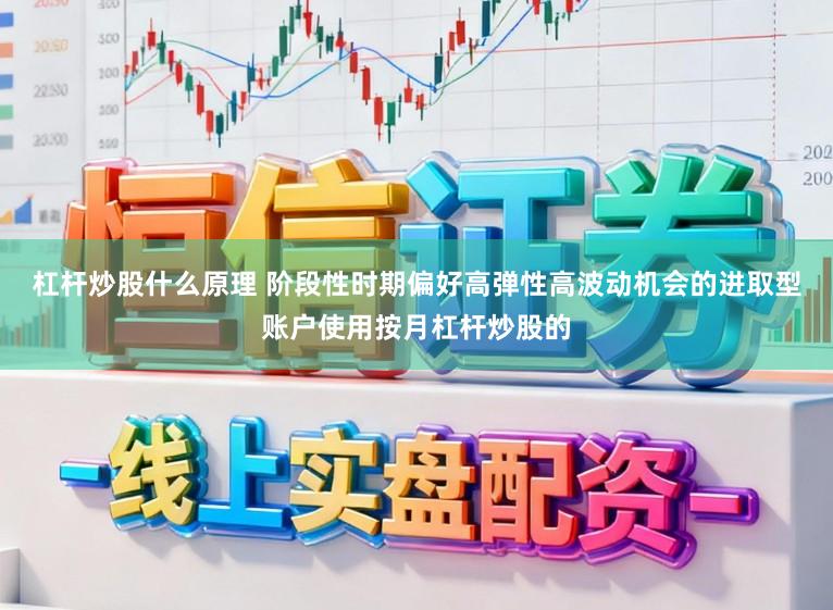 杠杆炒股什么原理 阶段性时期偏好高弹性高波动机会的进取型账户使用按月杠杆炒股的
