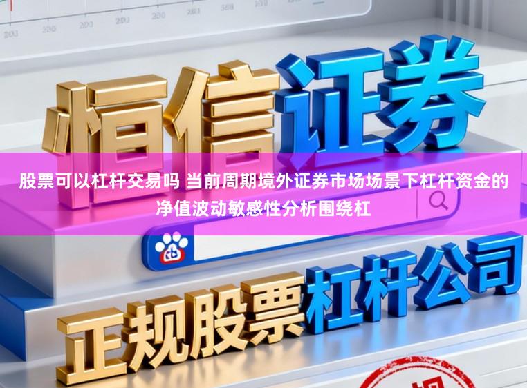 股票可以杠杆交易吗 当前周期境外证券市场场景下杠杆资金的净值波动敏感性分析围绕杠