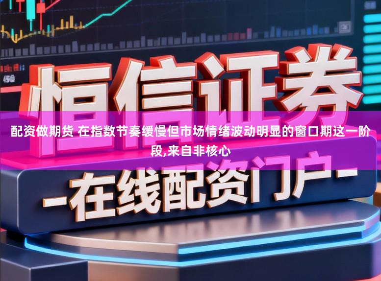 配资做期货 在指数节奏缓慢但市场情绪波动明显的窗口期这一阶段,来自非核心