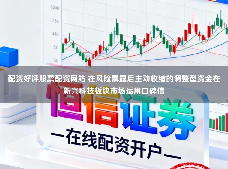 配资好评股票配资网站 在风险暴露后主动收缩的调整型资金在新兴科技板块市场运用口碑信