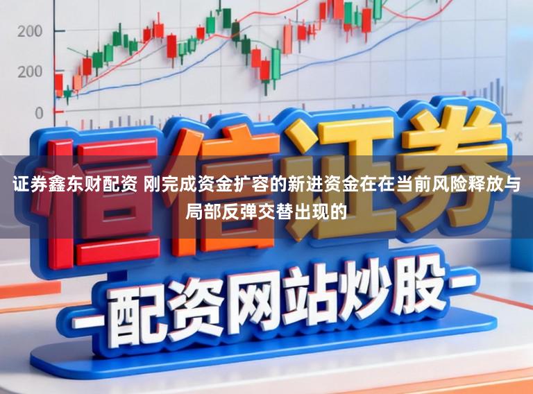 证券鑫东财配资 刚完成资金扩容的新进资金在在当前风险释放与局部反弹交替出现的
